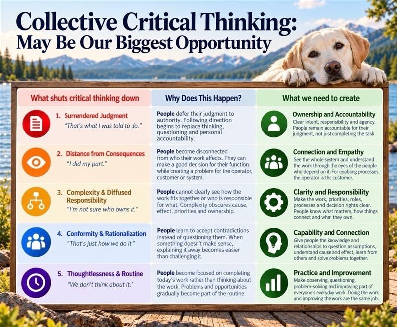 Collective critical thinking graphic