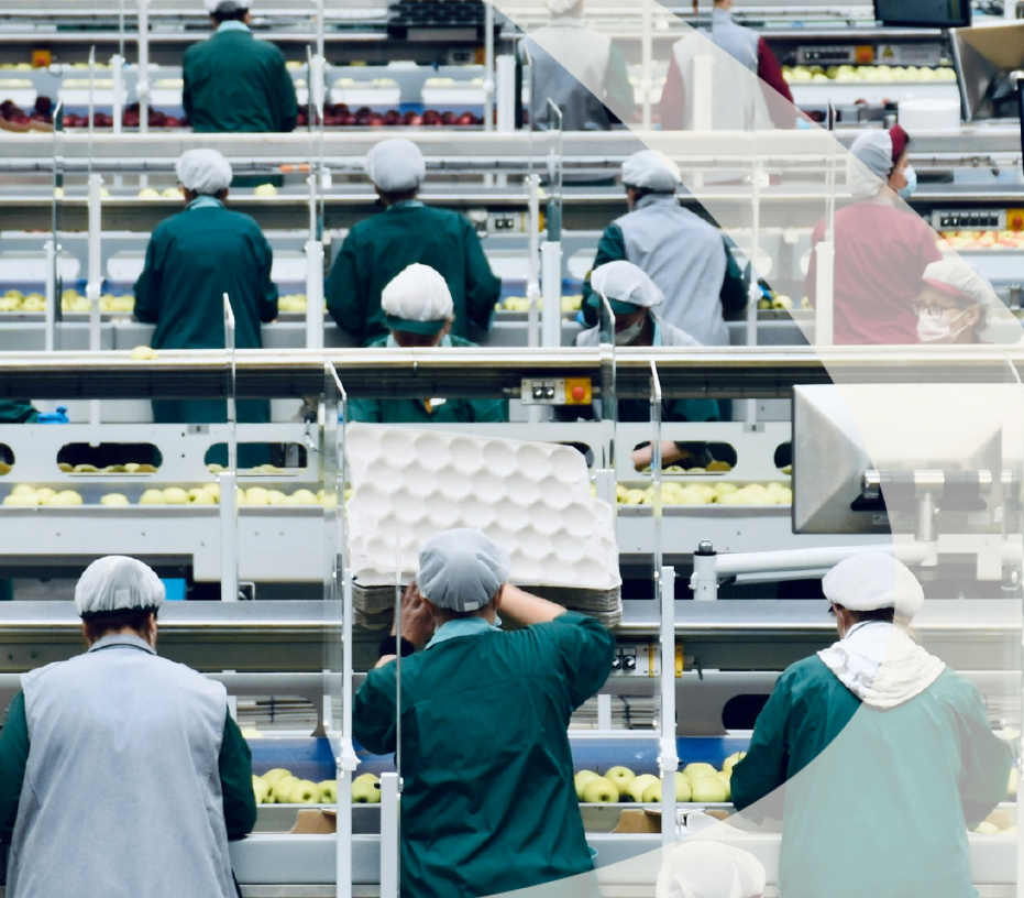 Compensation and Workplace Stability White Paper Photo-1