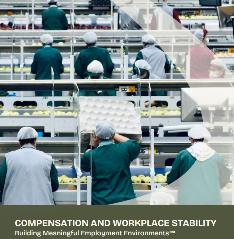 Compensation and Workplace Stability White Paper Photo