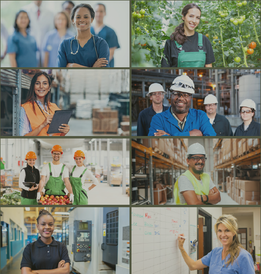 The New Workforce Expedition White Paper Photo-3