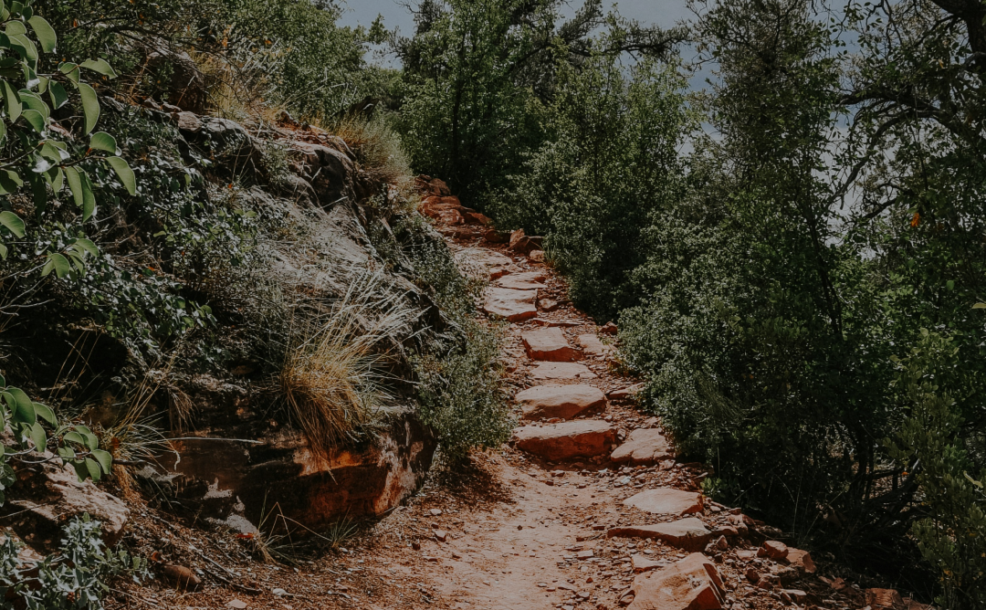 Navigating the Workplace Crisis